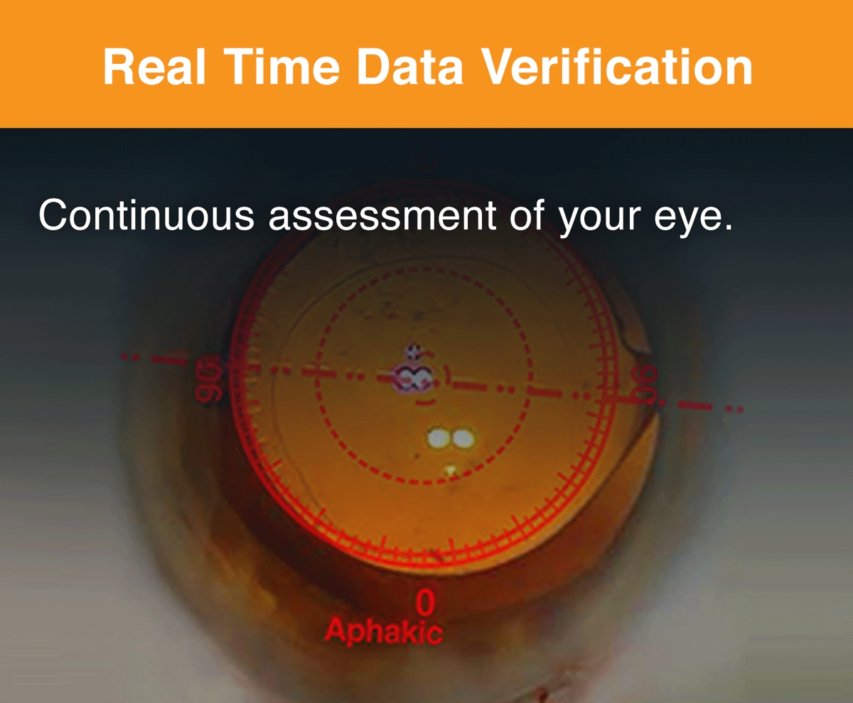 Real time data verification